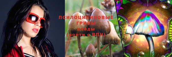 ПСИЛОЦИБИНОВЫЕ ГРИБЫ Козельск