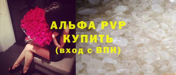 стаф Козловка