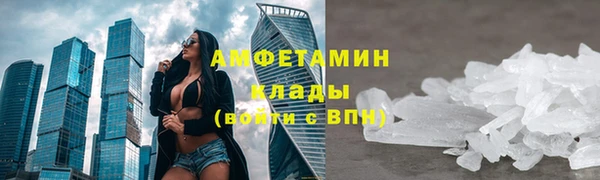 стаф Козловка