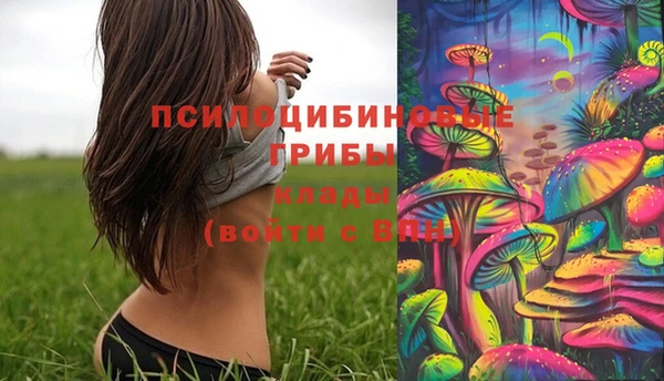 стаф Козловка