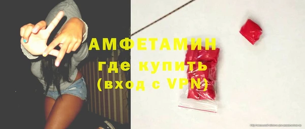 стаф Козловка