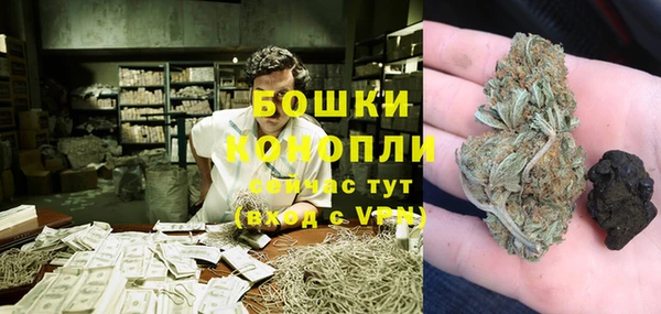ПСИЛОЦИБИНОВЫЕ ГРИБЫ Козельск