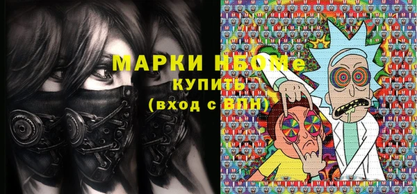 стаф Козловка