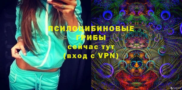 стаф Козловка