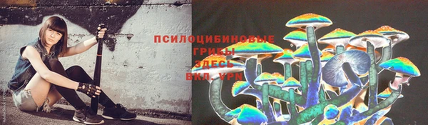 стаф Козловка