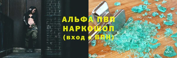 стаф Козловка